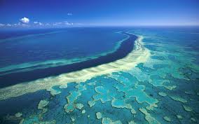 Diver's Explore Depths of the GBR