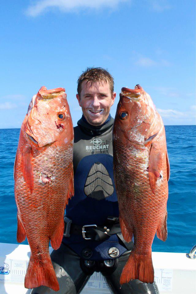 Species ID: Mangrove Jack