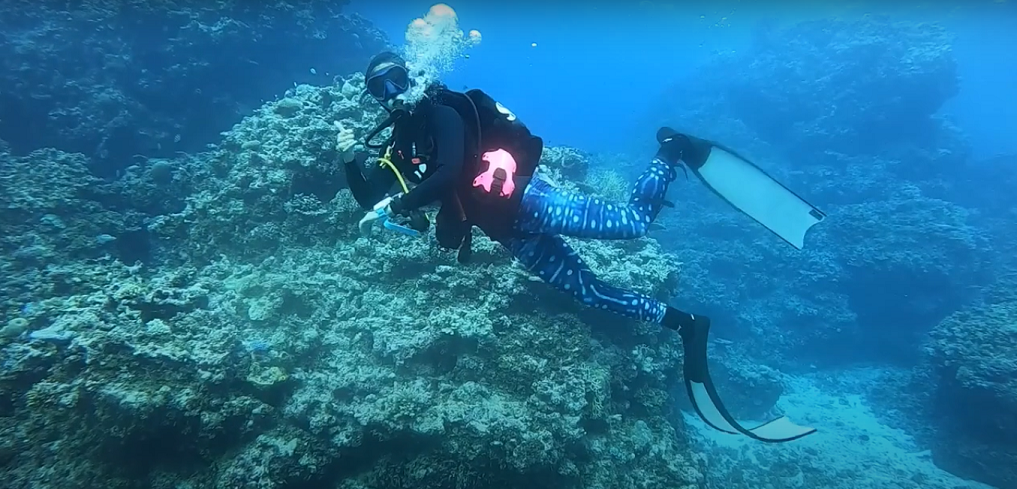 Best Wetsuit for Freediving - Adreno Saltskin Review