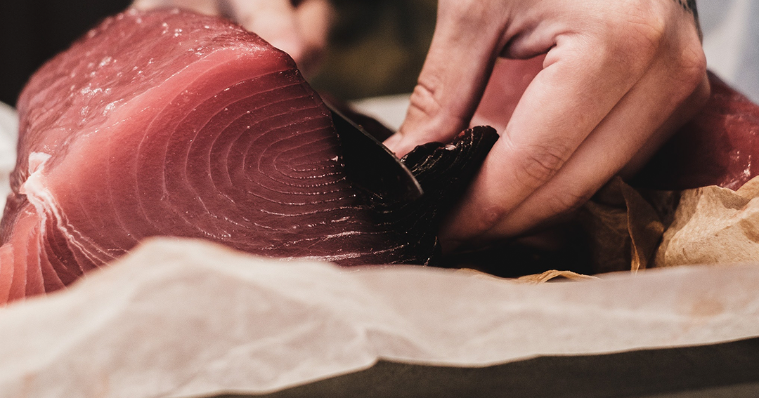 A Guide to Caring for Bluefin Tuna after Spearing