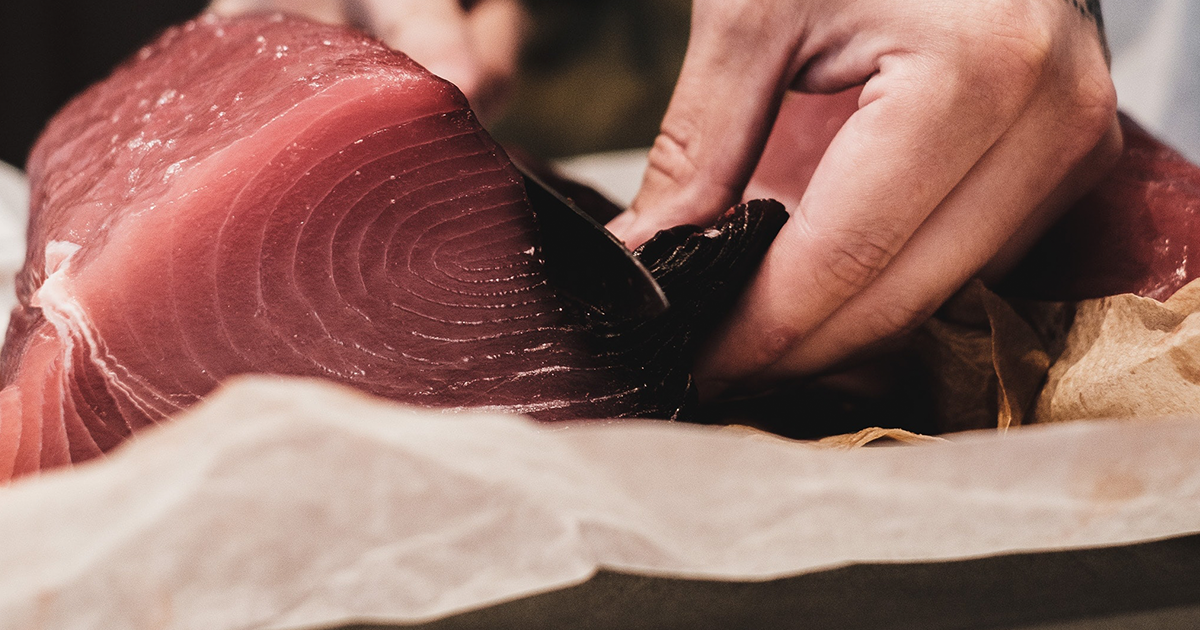 A Guide to Caring for Bluefin Tuna after Spearing