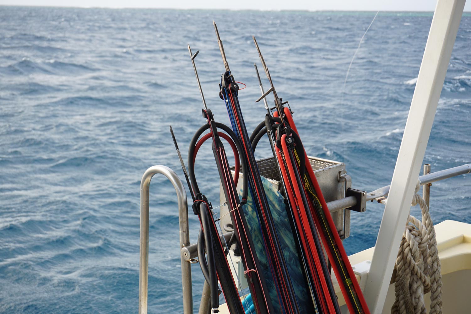 10 of Noob Spearo's most popular spearfishing interviews