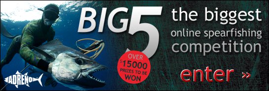 Big 5 Competition Has Begun - Rule Changes for 2013!