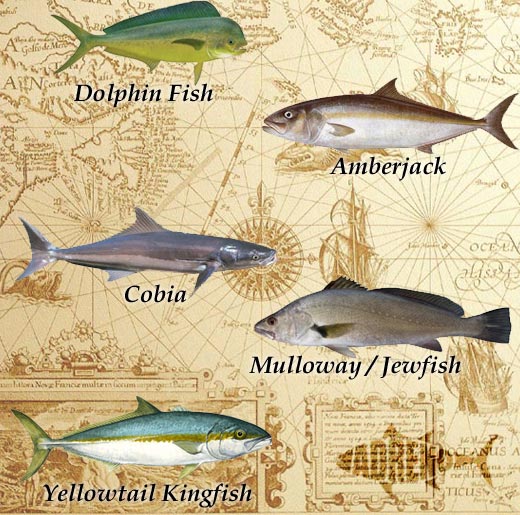 It's Back and Bigger than EVER...