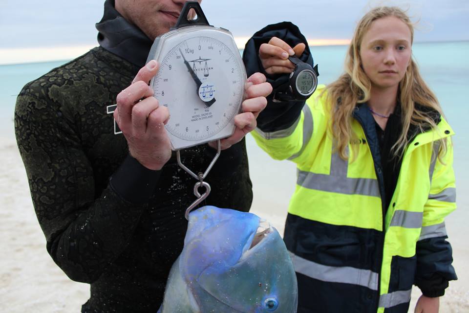 Big 5 Spearfishing competition Update