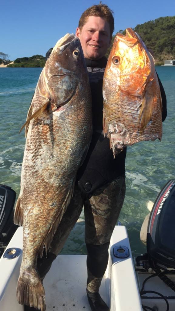 BIG 5: Online Spearfishing Competition Update