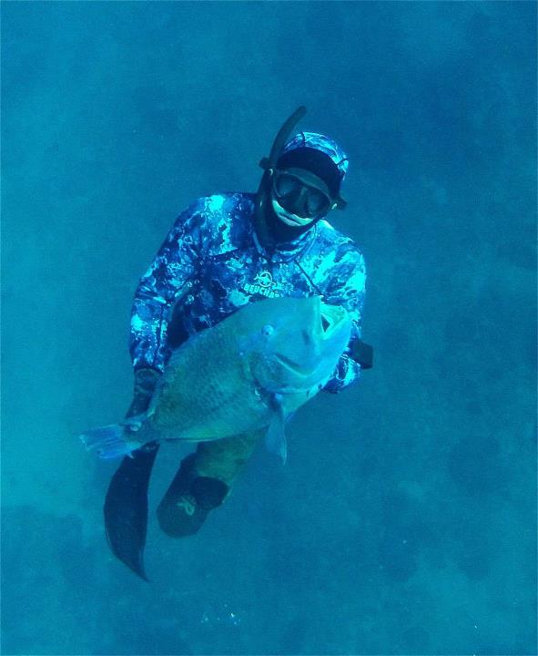 Online Spearfishing Competition - BIG 5 UPDATE