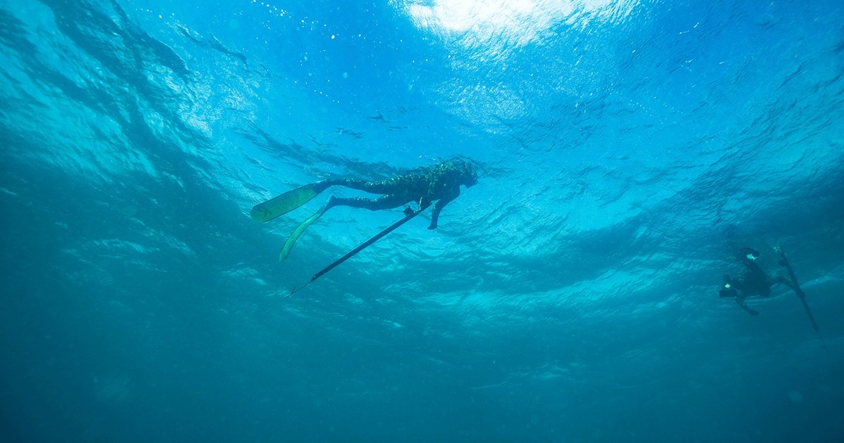 The three dummest things I did starting spearfishing - guest blog with Noob Spearo.