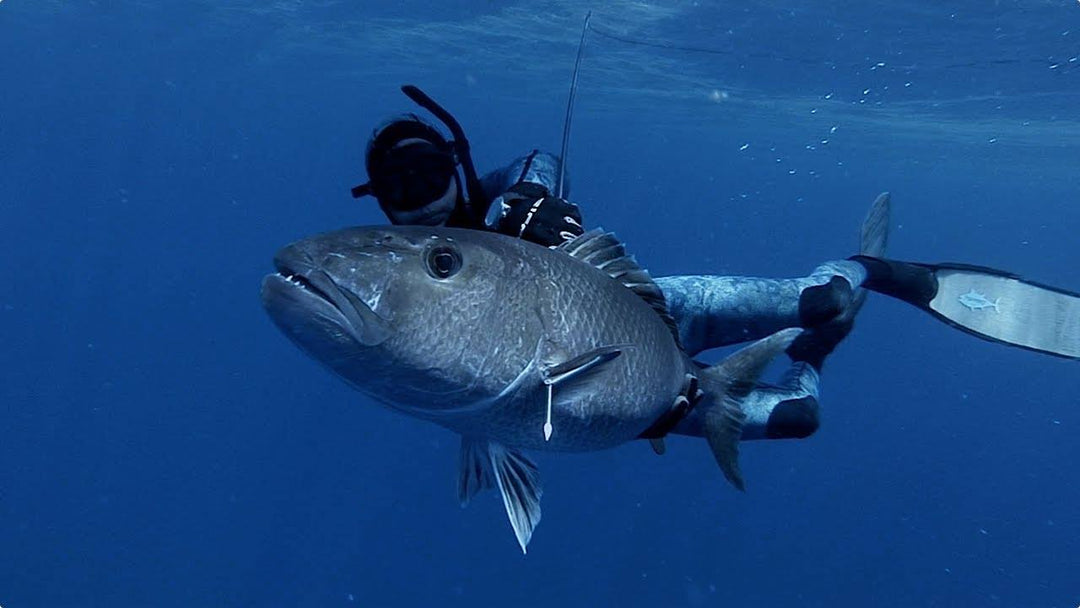 Bluewater Spearfishing Classic Results