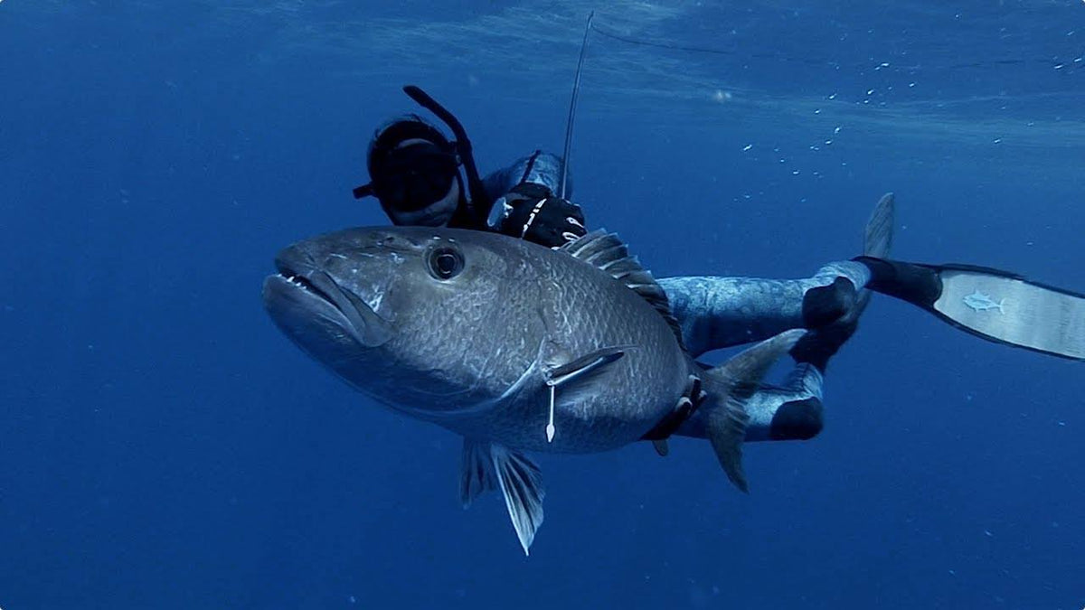 Bluewater Spearfishing Classic Results