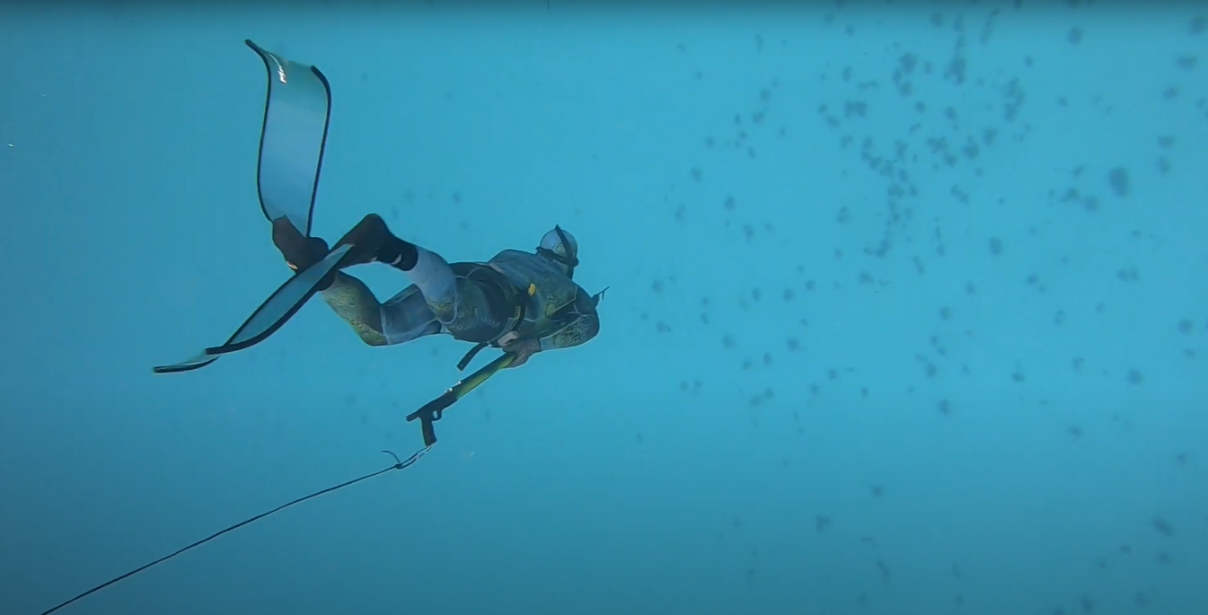 spearfishing underwater breath hold