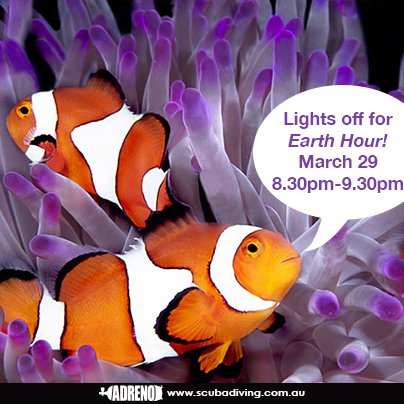Get on Board with Earth Hour and Support the GBR