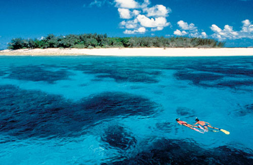 A cheap shot for the Great Barrier Reef