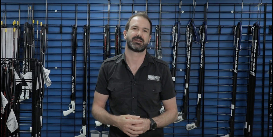Target Pelagic Fish When Spearfishing