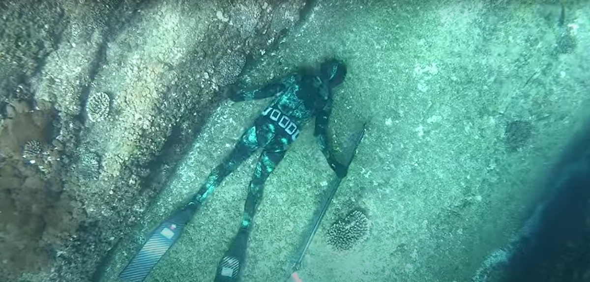 Spearfishing Basics: How To Hunt Fish