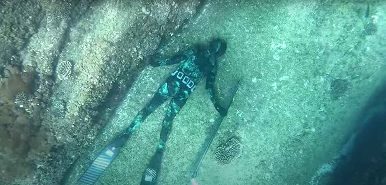 Spearfishing Basics: How To Hunt Fish - Adreno - Ocean Outfitters