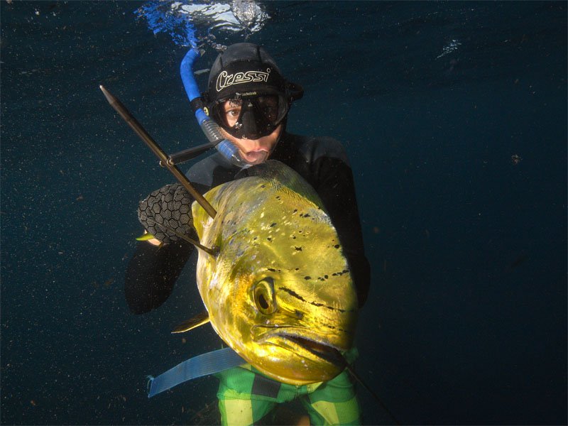 Mahi Mahi Hunting with Corey