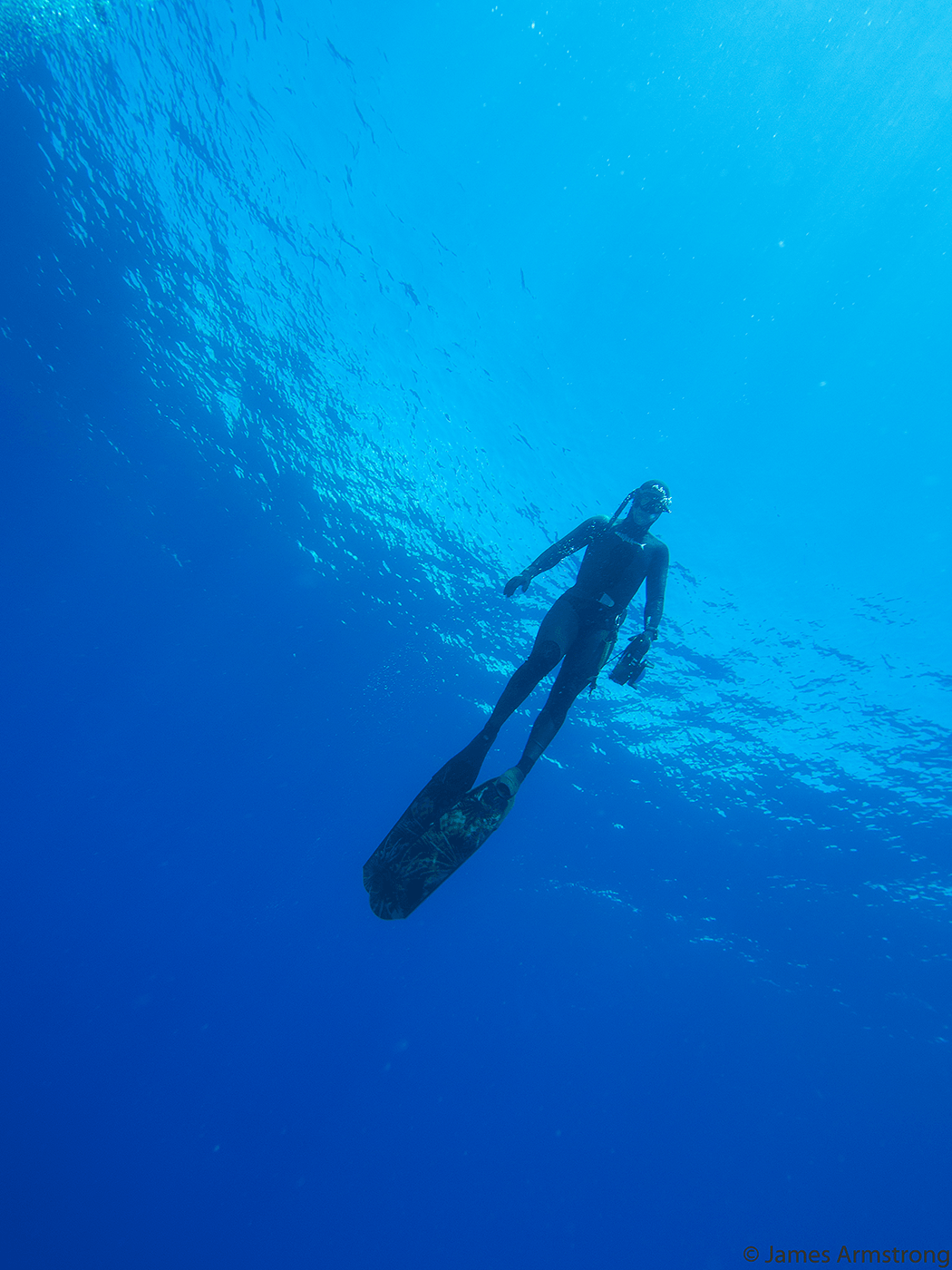 Scuba Buddies Diver & Trip Info Evening