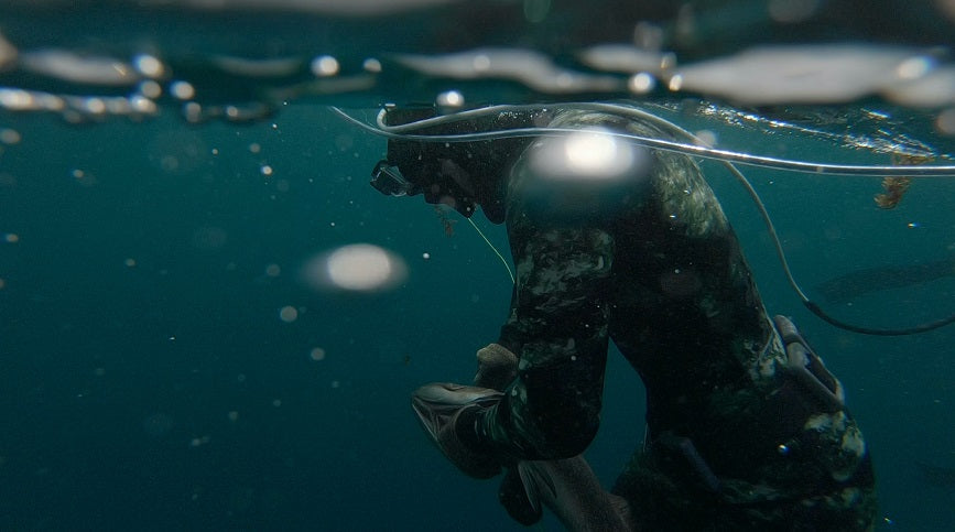 Ethical Burley? The Garbage Law You Probably Don’t Know About