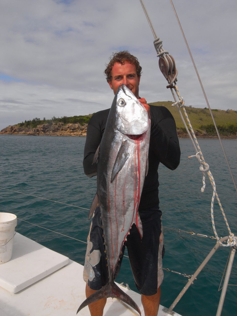 Northern Bluefin Tuna