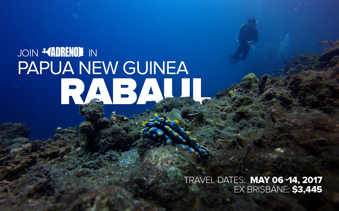 PNG Rabaul Dive Trip