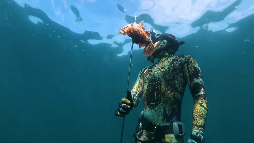 Red Cod Scull Red Rock Cod