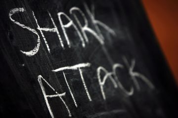 Fatal shark attack causes increase in Shark Shield sales