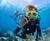 How much does it cost to start Scuba Diving?