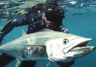 2012 Australian Bluewater Freediving Classic