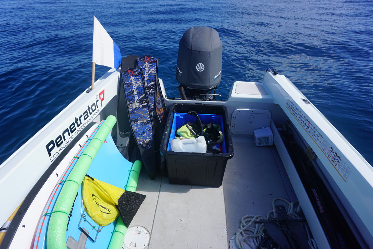 Three things I learnt Spearfishing the coral reef with Experienced Spearos