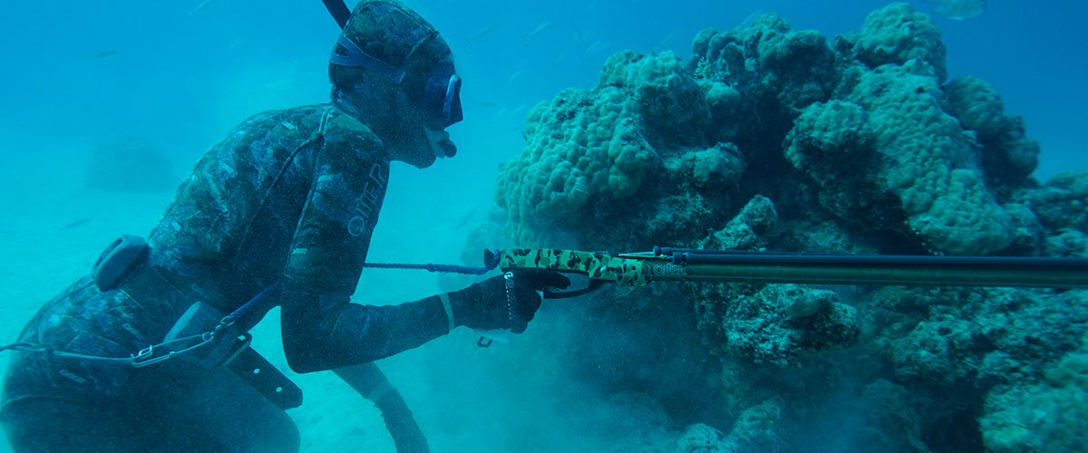 Responsible Spearfishing