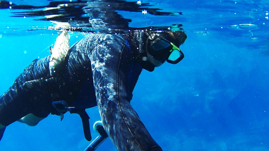 Letters to Shrek: Brisbane Spearfishing and Freediving Communities