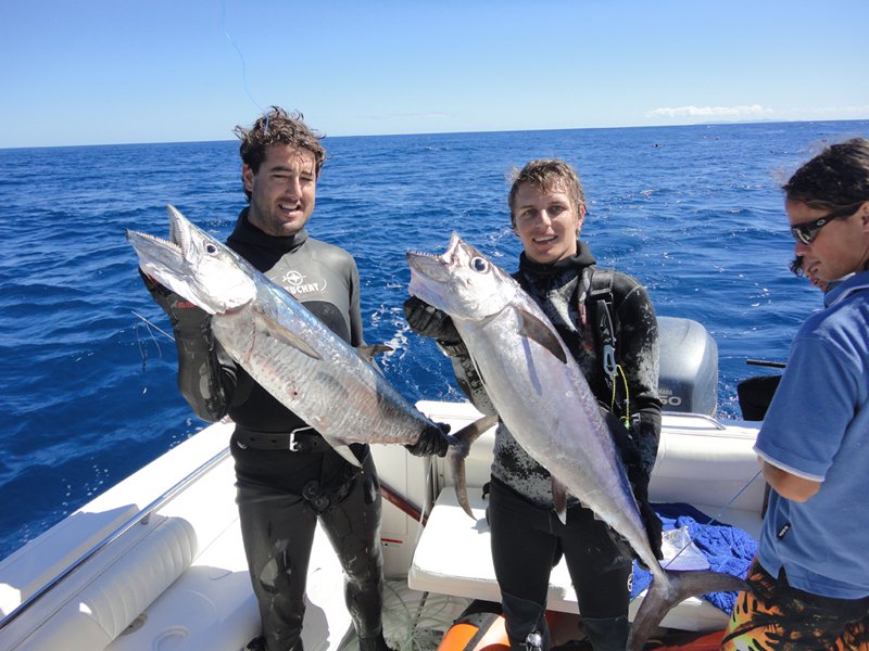 A little taste of Fiji and why every Spearo should go there!! Photos 2