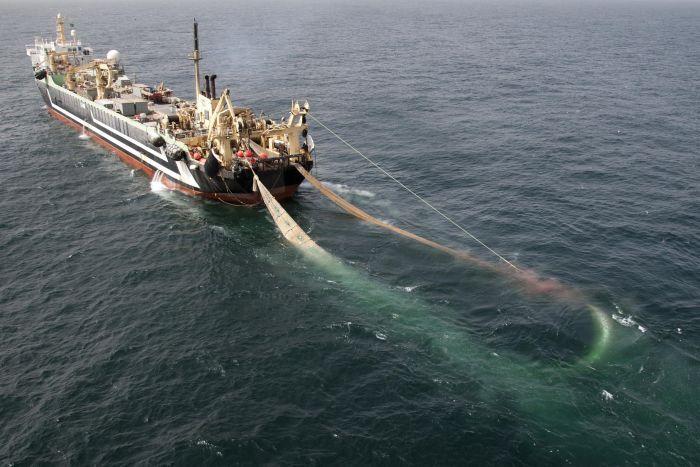 Super Trawler STOPPED by Greenpeace!