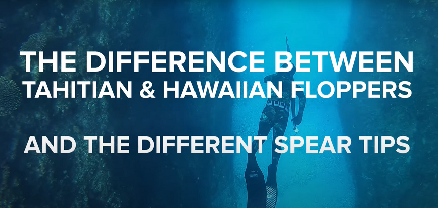 tahitian-vs-hawaiian-floppers