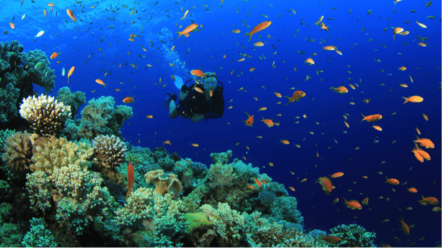 Top 10 Australian Scuba Dive Sites