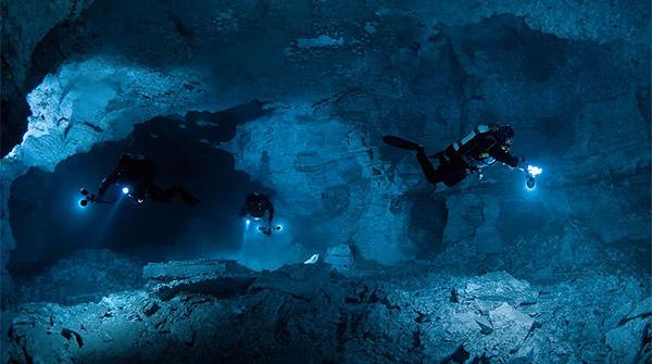 A Guide to Dive Torches & Lights