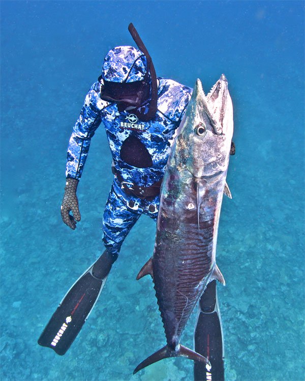 Great Barrier Reef Bluewater Charters - Adreno - Ocean Outfitters