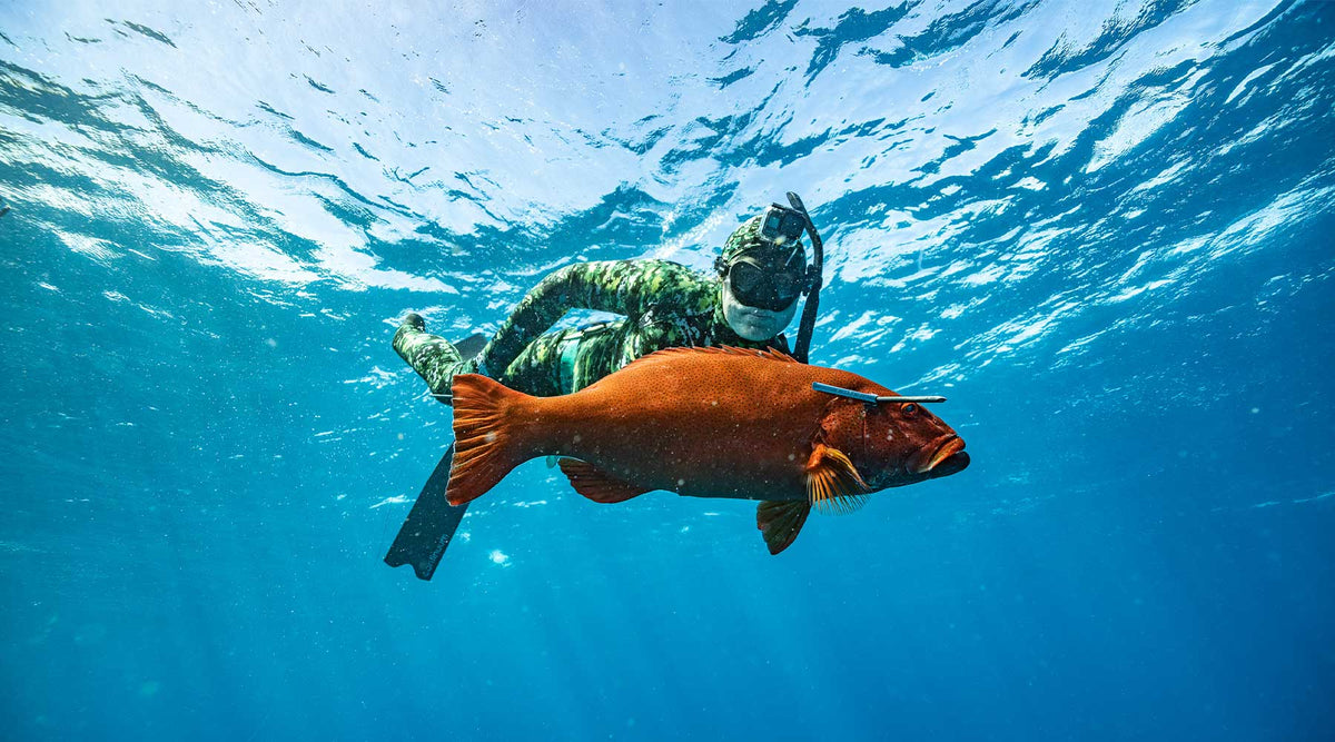 Spear Shafts | Adreno Outfitters One Stop Shop for Spearo, Free, Scuba and Surfing Goods