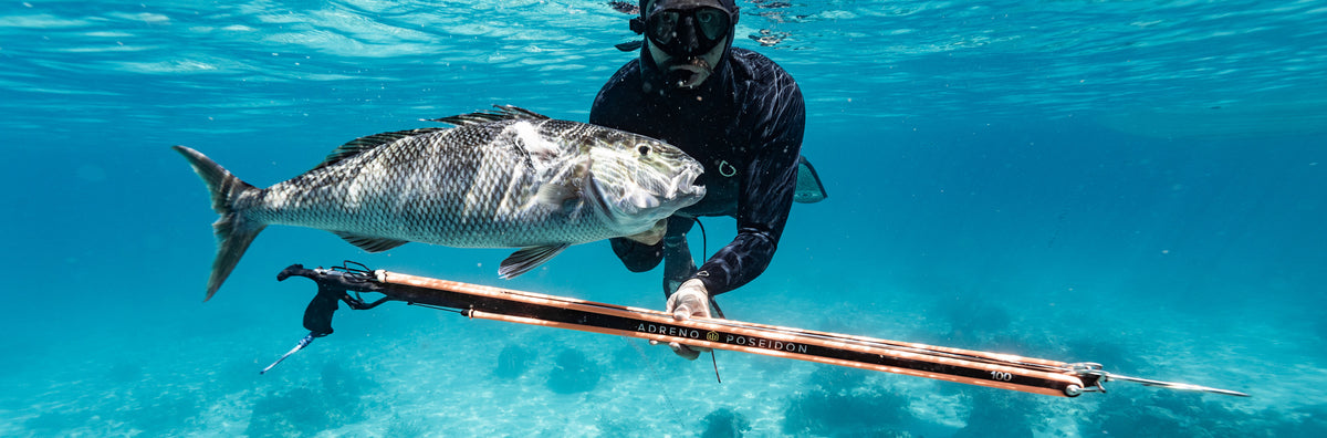 Speargun Barrels | Adreno Outfitters One Stop Shop for Spearo, Free, Scuba and Surfing Goods