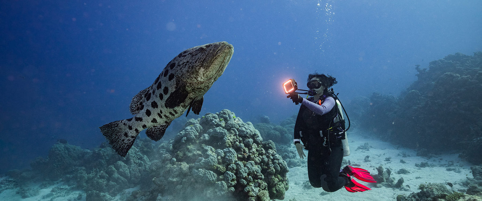 Scuba Diving Clearance