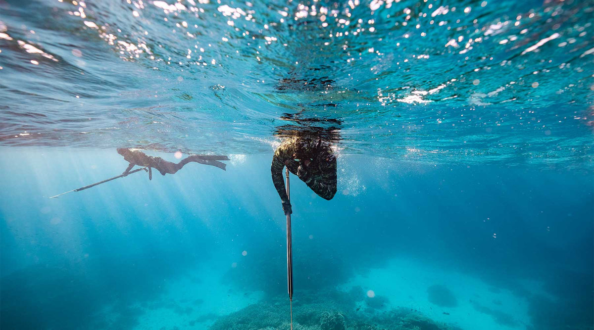 Picasso | Adreno Outfitters One Stop Shop for Spearo, Free, Scuba and Surfing Goods