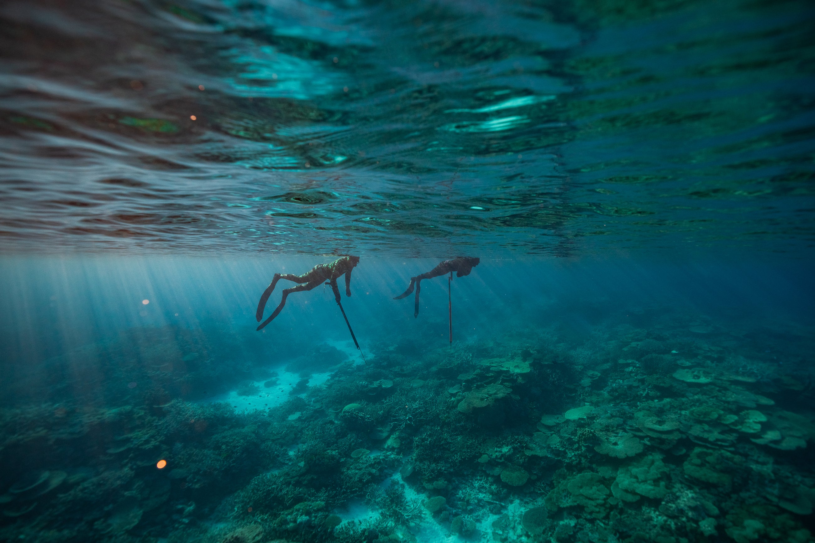 Sporasub | Adreno Outfitters One Stop Shop for Spearo, Free, Scuba and Surfing Goods