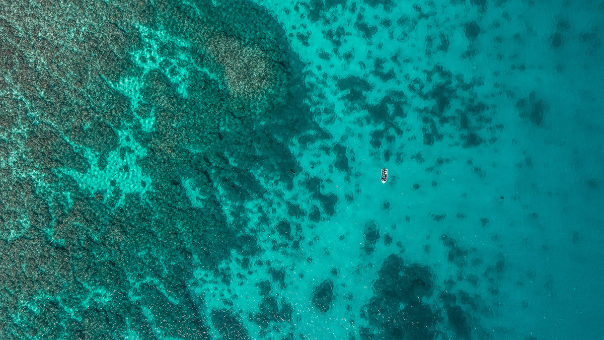Probe | Adreno Outfitters One Stop Shop for Spearo, Free, Scuba and Surfing Goods