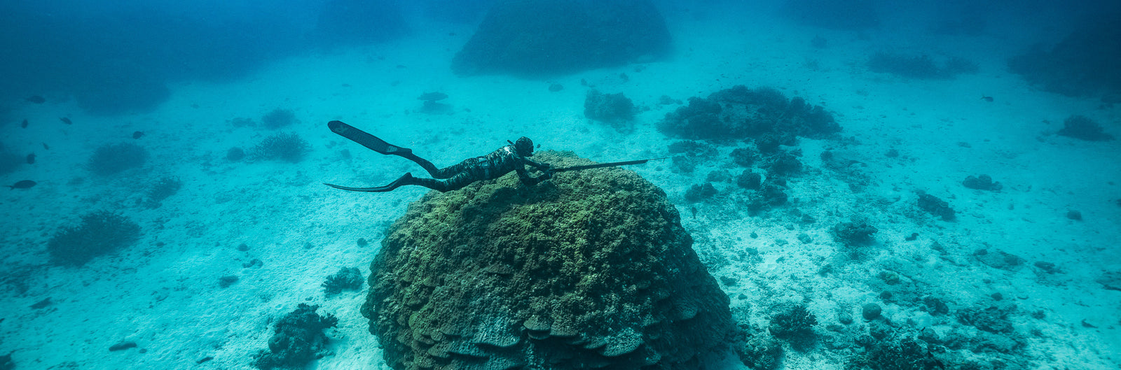 Spearfishing Tools