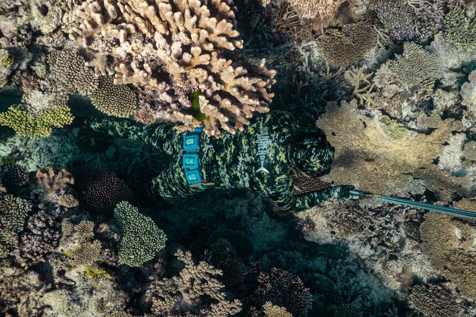 Land and Sea | Adreno Outfitters One Stop Shop for Spearo, Free, Scuba and Surfing Goods