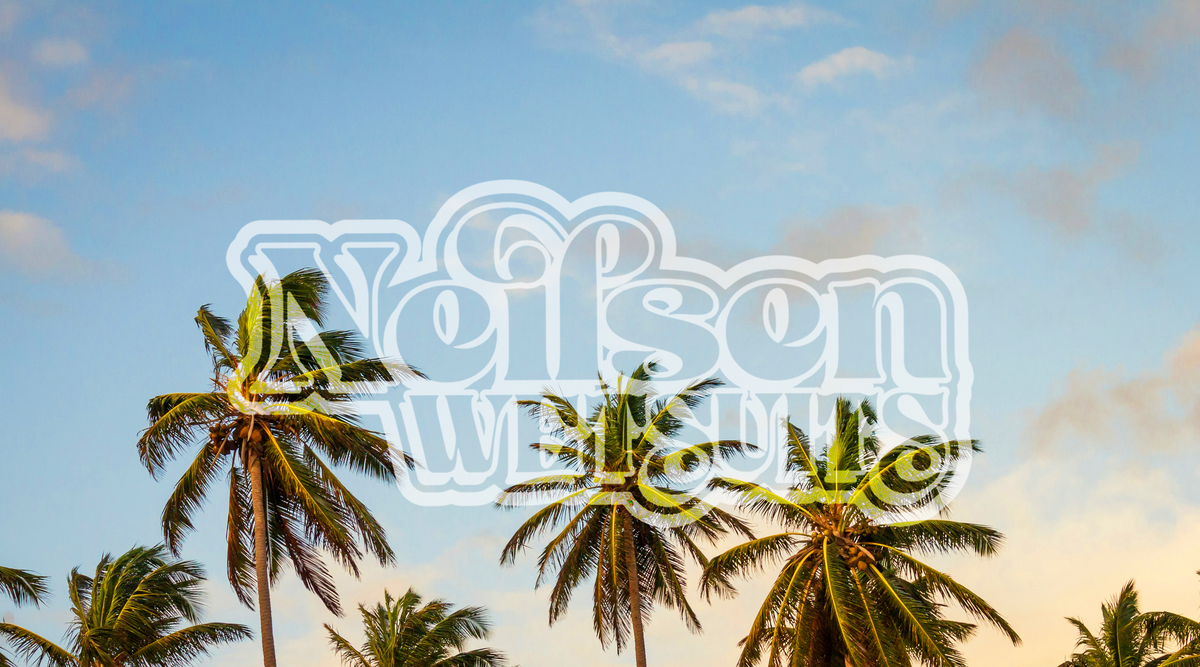 Neilsen | Adreno Outfitters One Stop Shop for Spearo, Free, Scuba and Surfing Goods