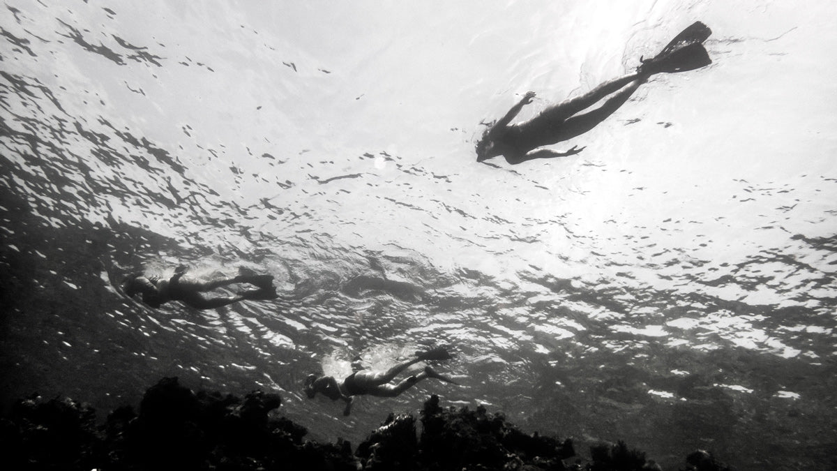 Snorkelling Fins