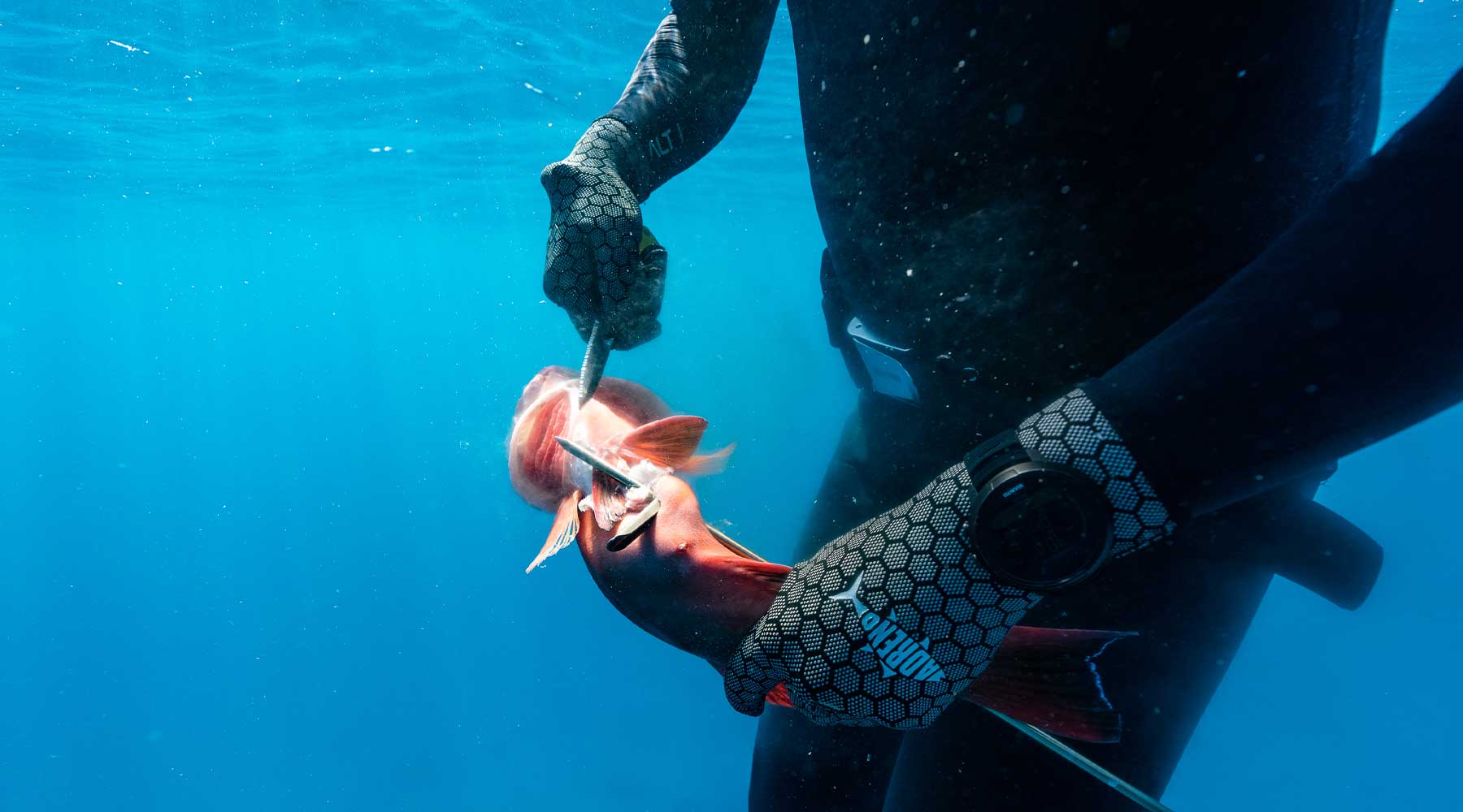 Knife Accessories | Adreno Outfitters One Stop Shop for Spearo, Free, Scuba and Surfing Goods