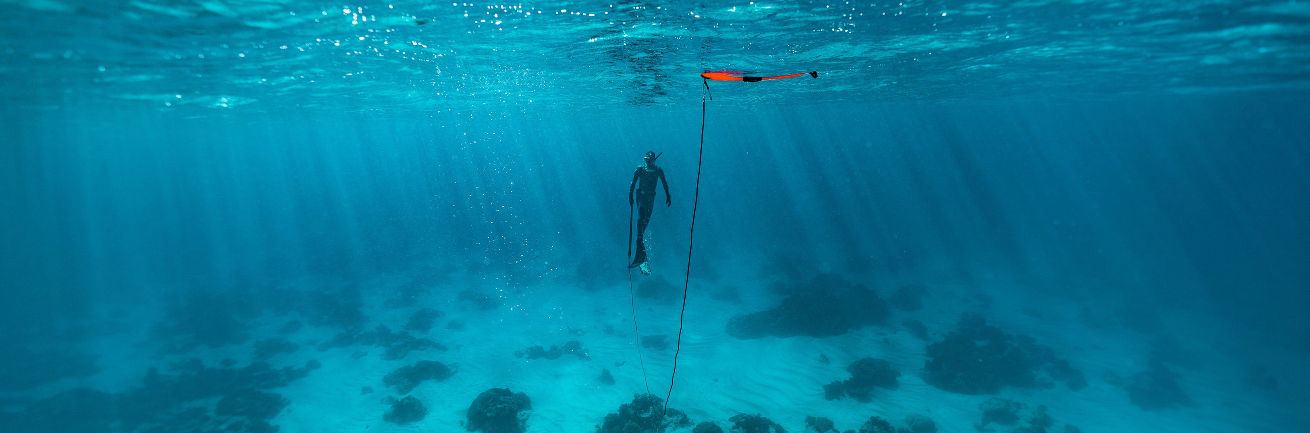 Float Line Bungees | Adreno Outfitters One Stop Shop for Spearo, Free, Scuba and Surfing Goods